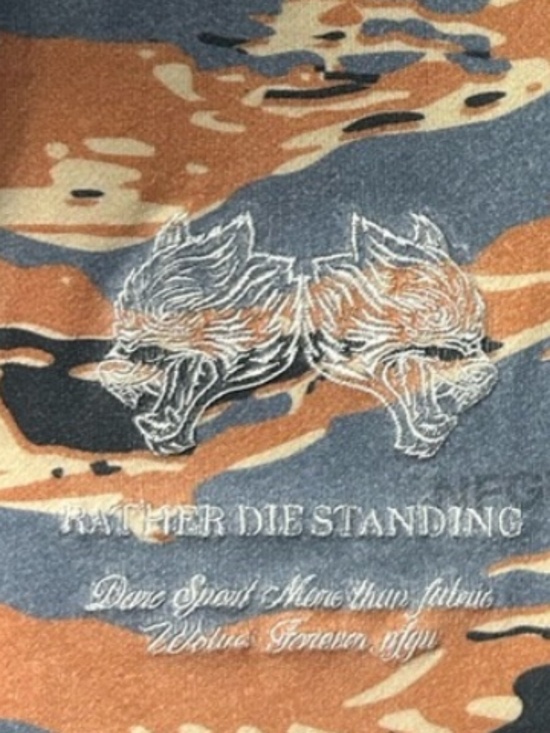 Shorts - Picture 2 of 3